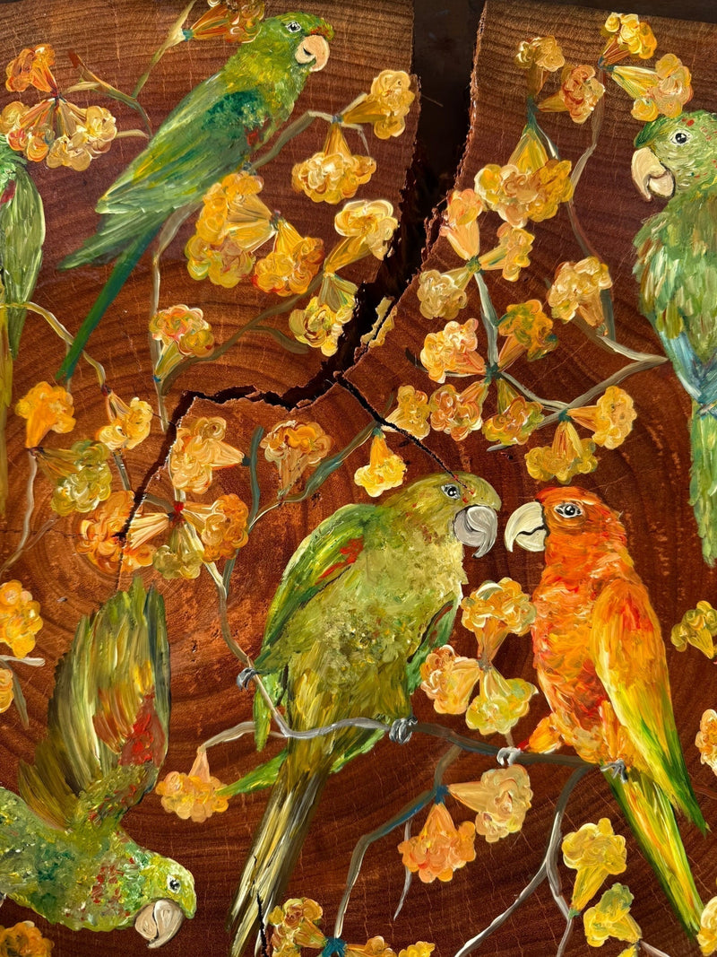 Cores de Minas- uma série em madeira das aves da nossa região