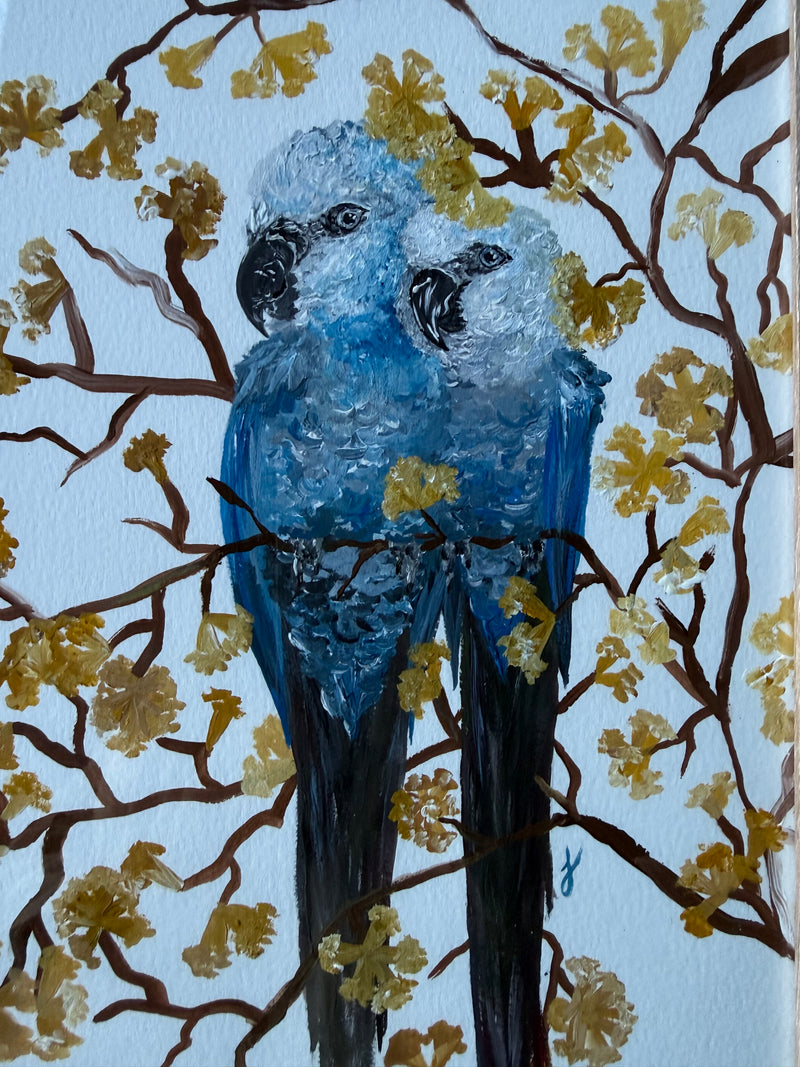 Quadro Ararinha Azul A4