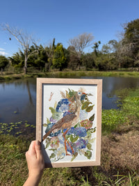 Seriema no campo de hortênsias
