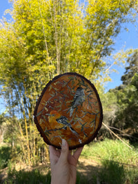 Chorozinho-de-bico-comprido- Pintura em Madeira