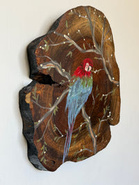 Pintura na Madeira- Arara