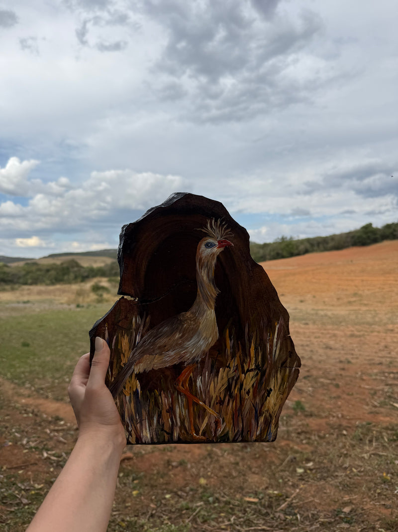Seriema em campo mineiro - Pintura em Madeira