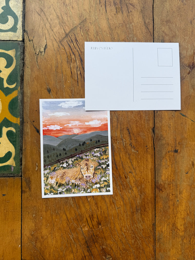 Cartão Postal Vaquinha no Campo