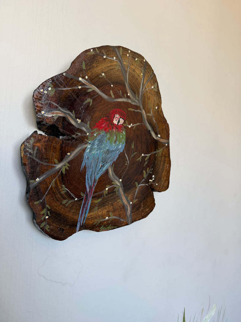 Pintura na Madeira- Arara