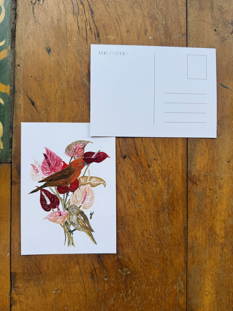 Cartão Postal Canário em Jardim de Antúrio