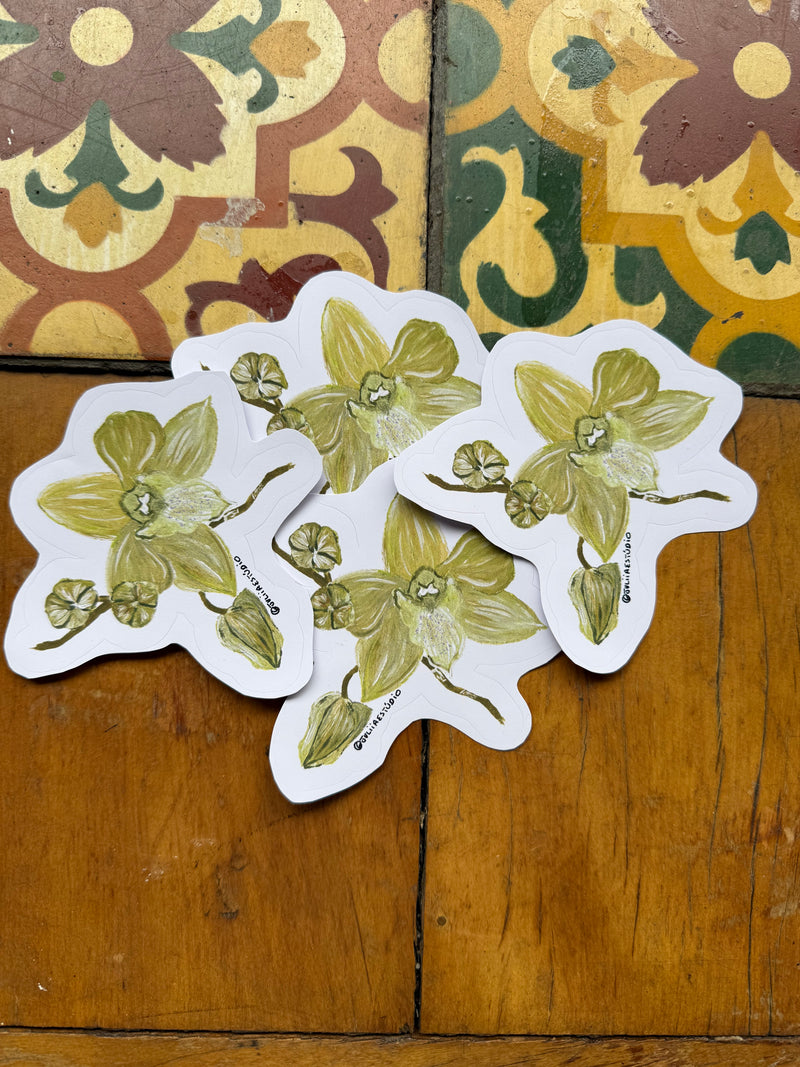 Adesivo de Orquídea Dendobrium Olho de Boneca Verde