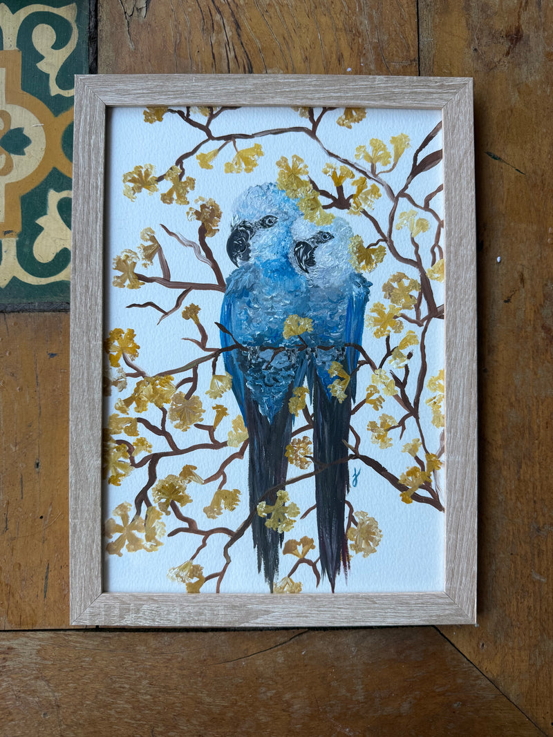 Quadro Ararinha Azul A4