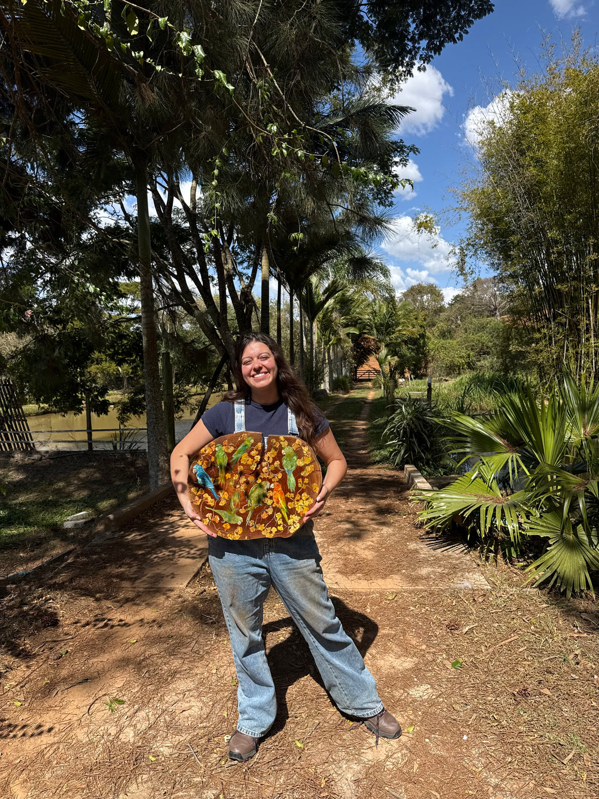 Alegria dos céus (Periquetão) - Pintura em Madeira