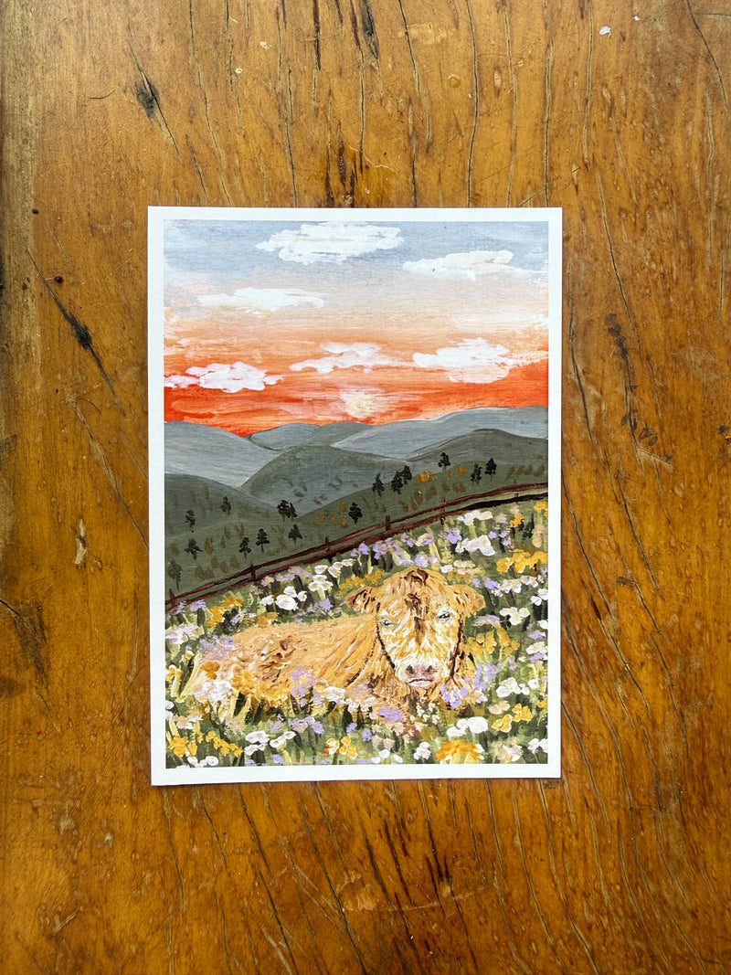 Cartão Postal Vaquinha no Campo