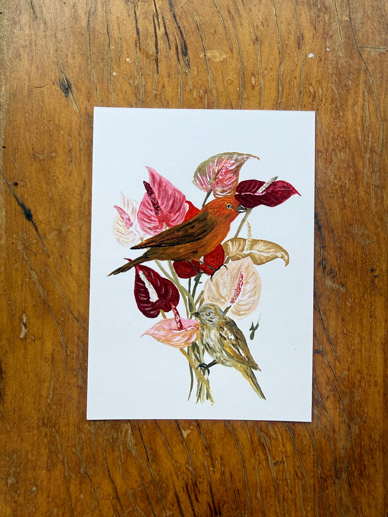 Cartão Postal Canário em Jardim de Antúrio