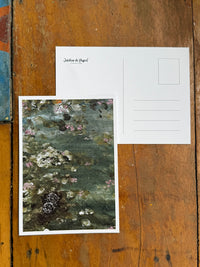 Jardim de Papel- Clube de Cartas