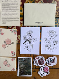 Jardim de Papel- Clube de Cartas