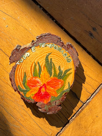 Ímãs de madeira