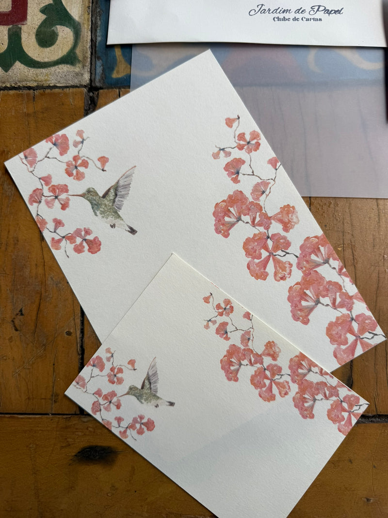Jardim de Papel- Clube de Cartas