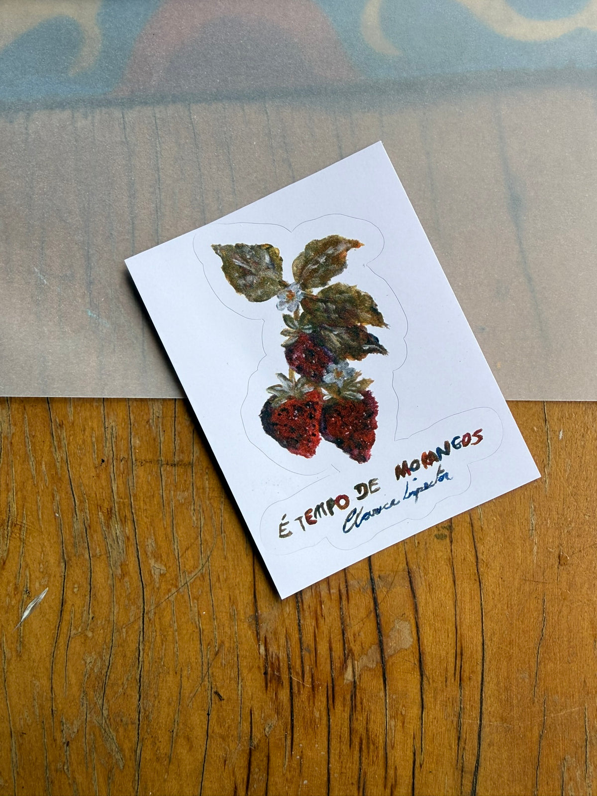 Jardim de Papel- Clube de Cartas