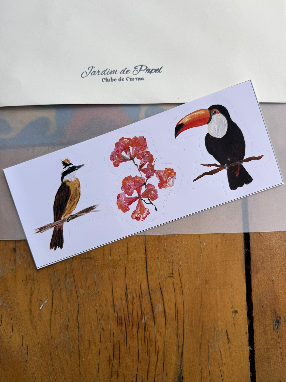 Jardim de Papel- Clube de Cartas
