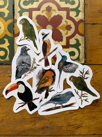 Aves do Cotidiano- adesivos de vinil