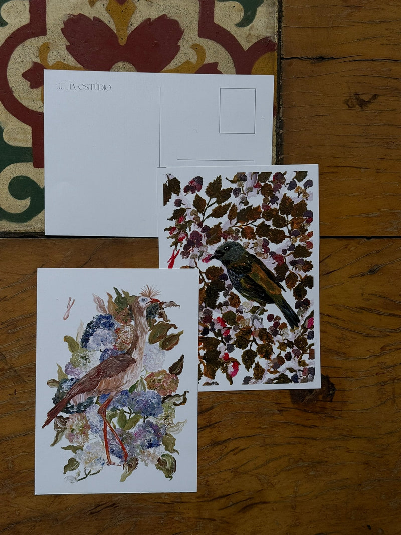 Cartões Postais Aves