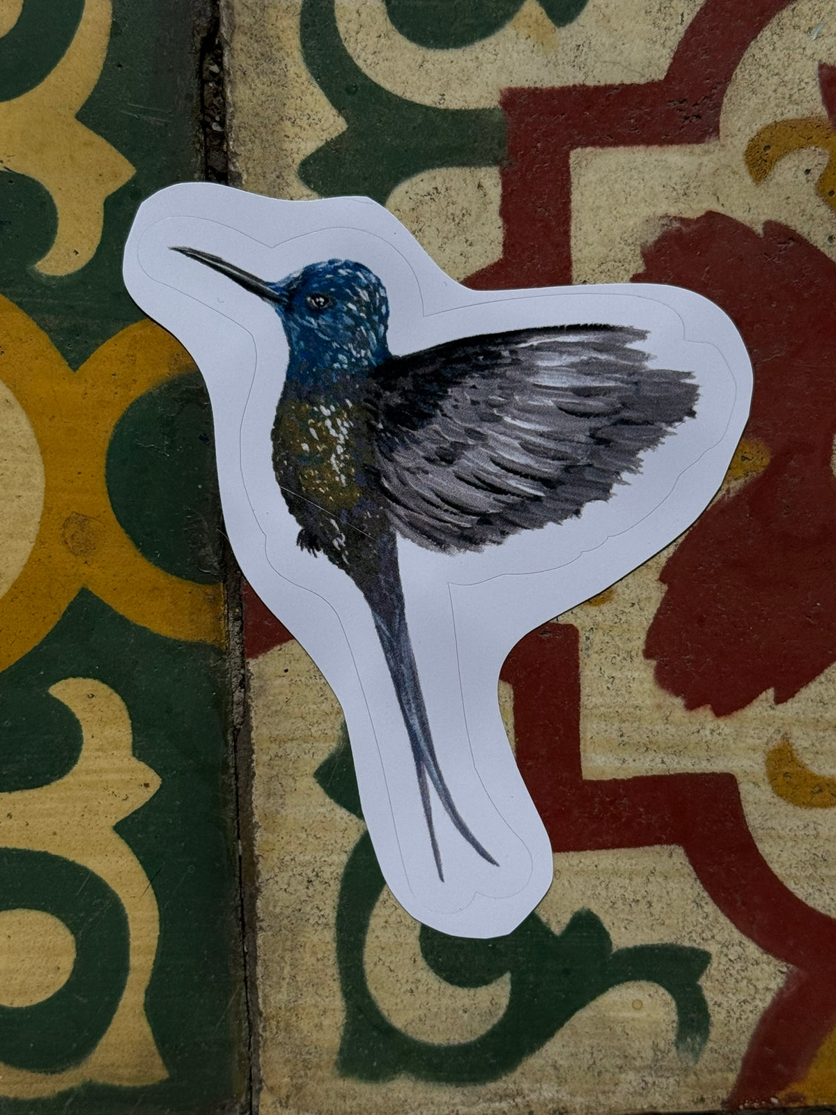 Aves do Cotidiano- adesivos de vinil