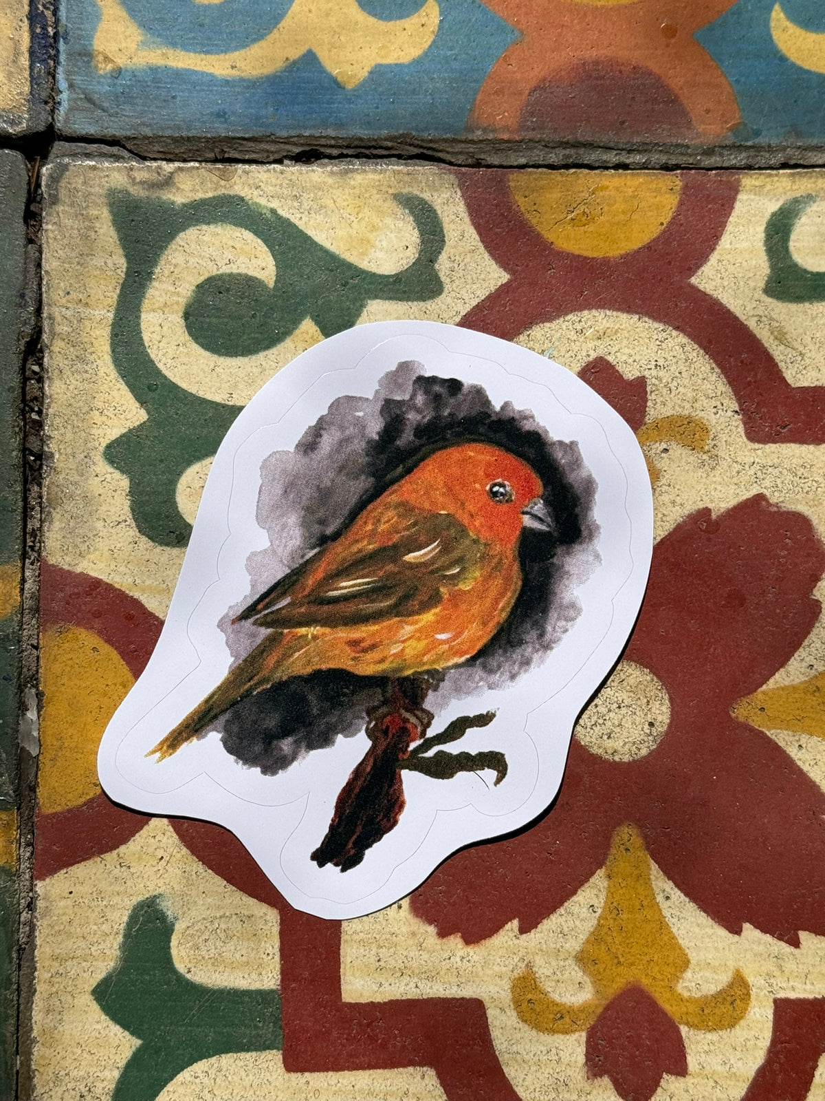 Aves do Cotidiano- adesivos de vinil