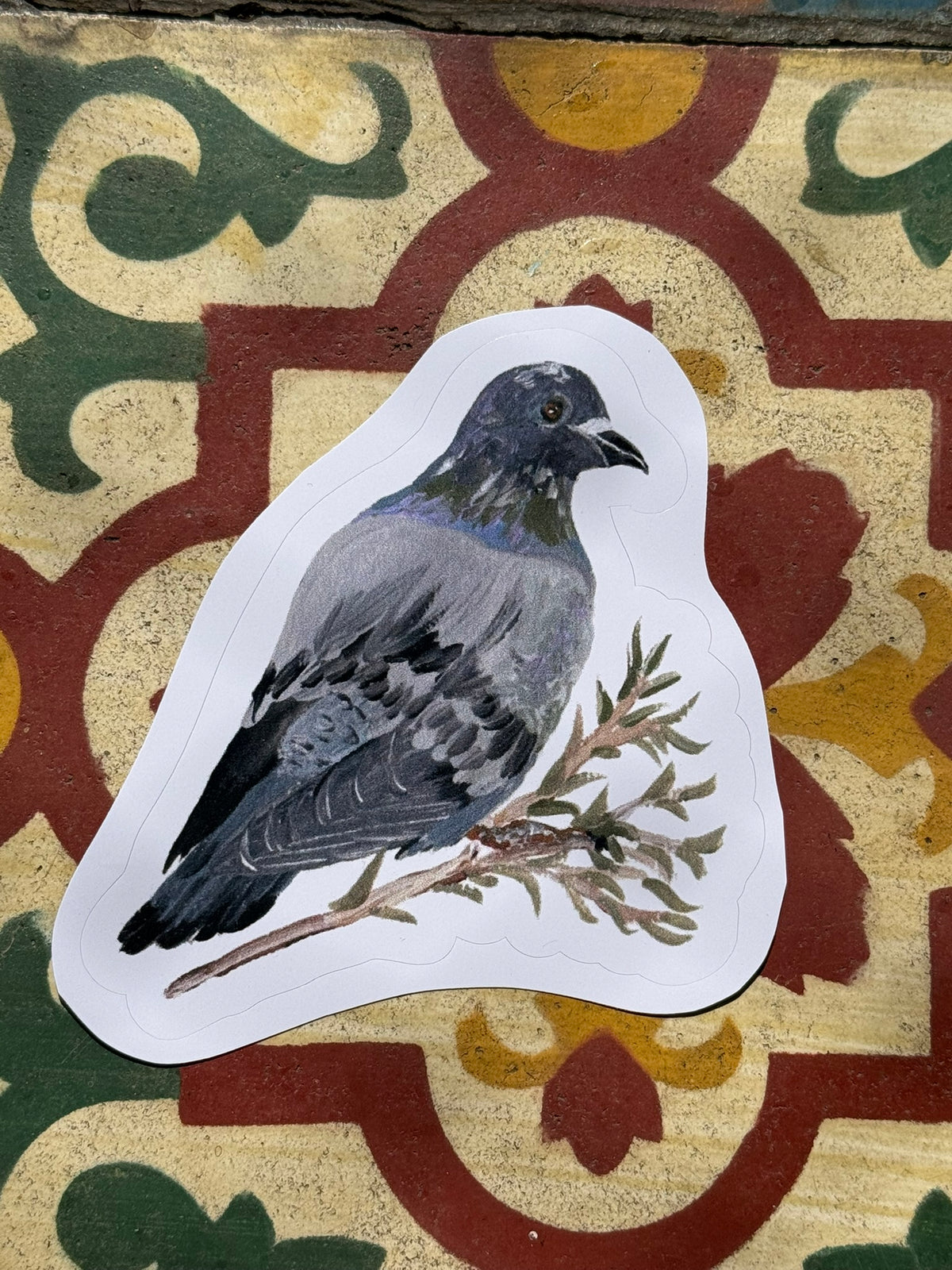 Aves do Cotidiano- adesivos de vinil
