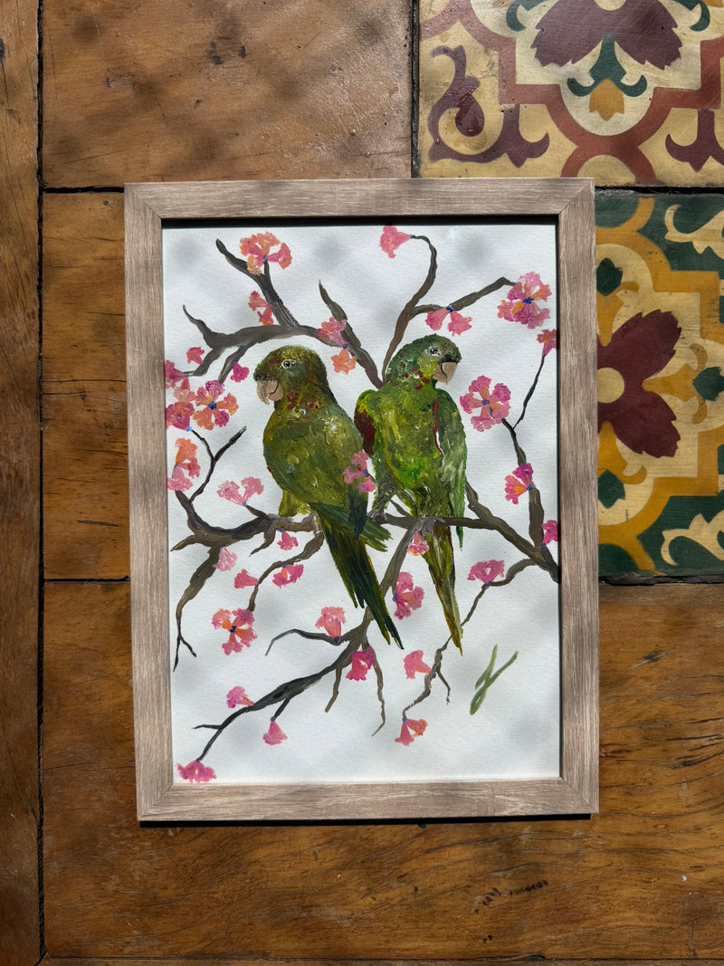 Quadro Periquetão em Ipê Rosa