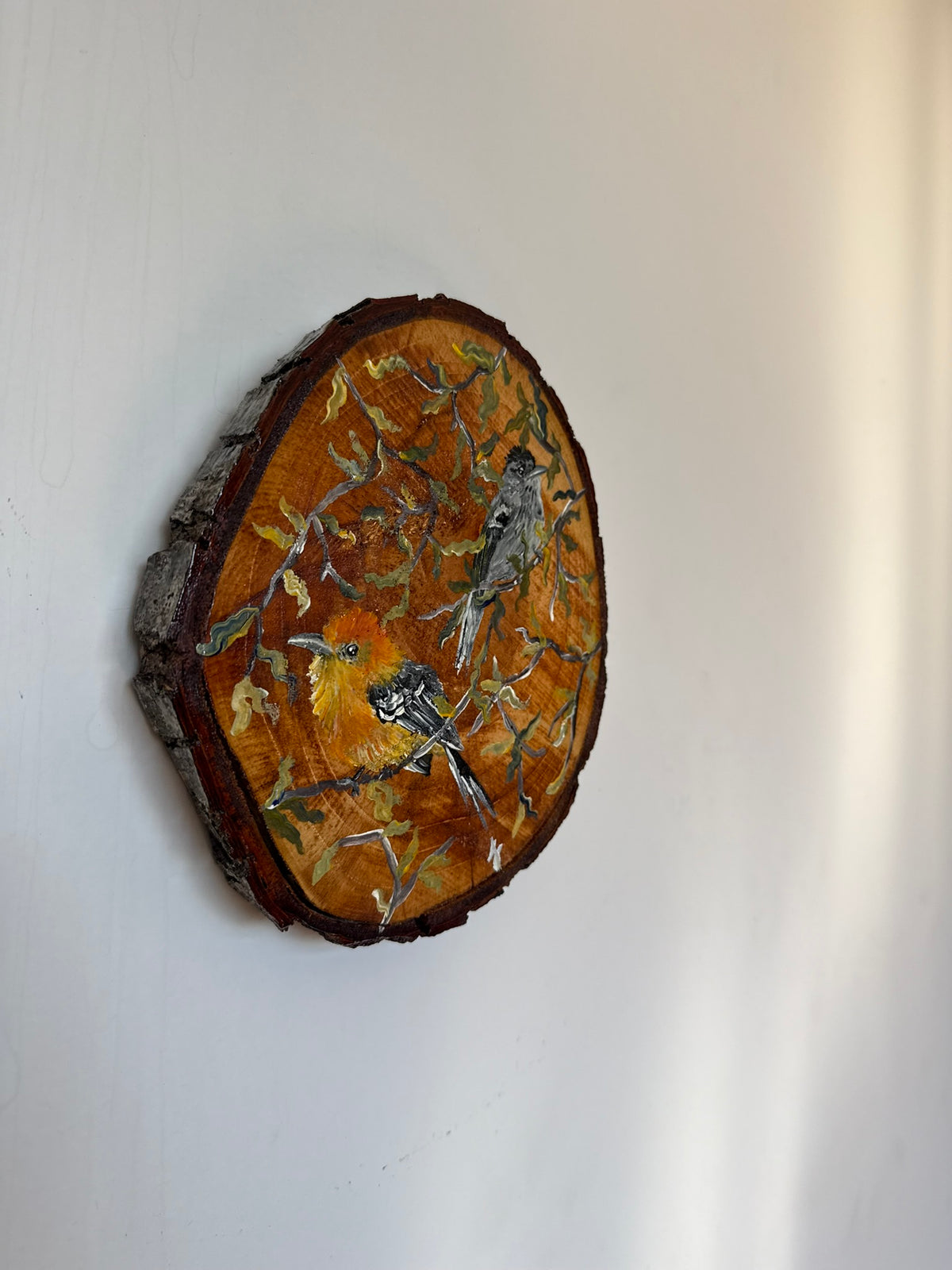 Chorozinho-de-bico-comprido- Pintura em Madeira