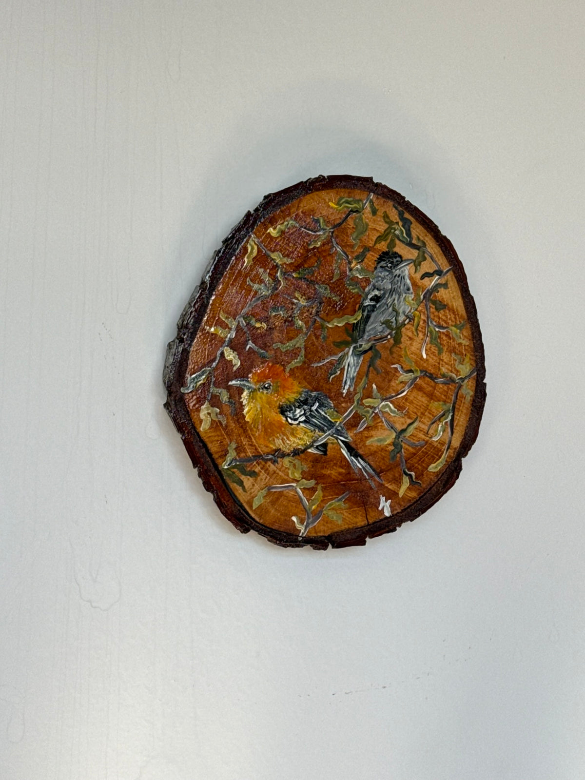 Chorozinho-de-bico-comprido- Pintura em Madeira
