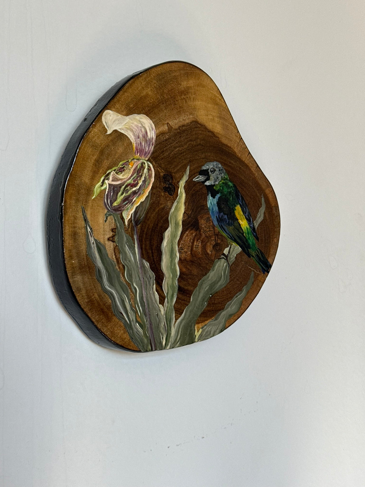 Orquídeas e pássaros, (Saíra-sete-cores) - Pintura em Madeira