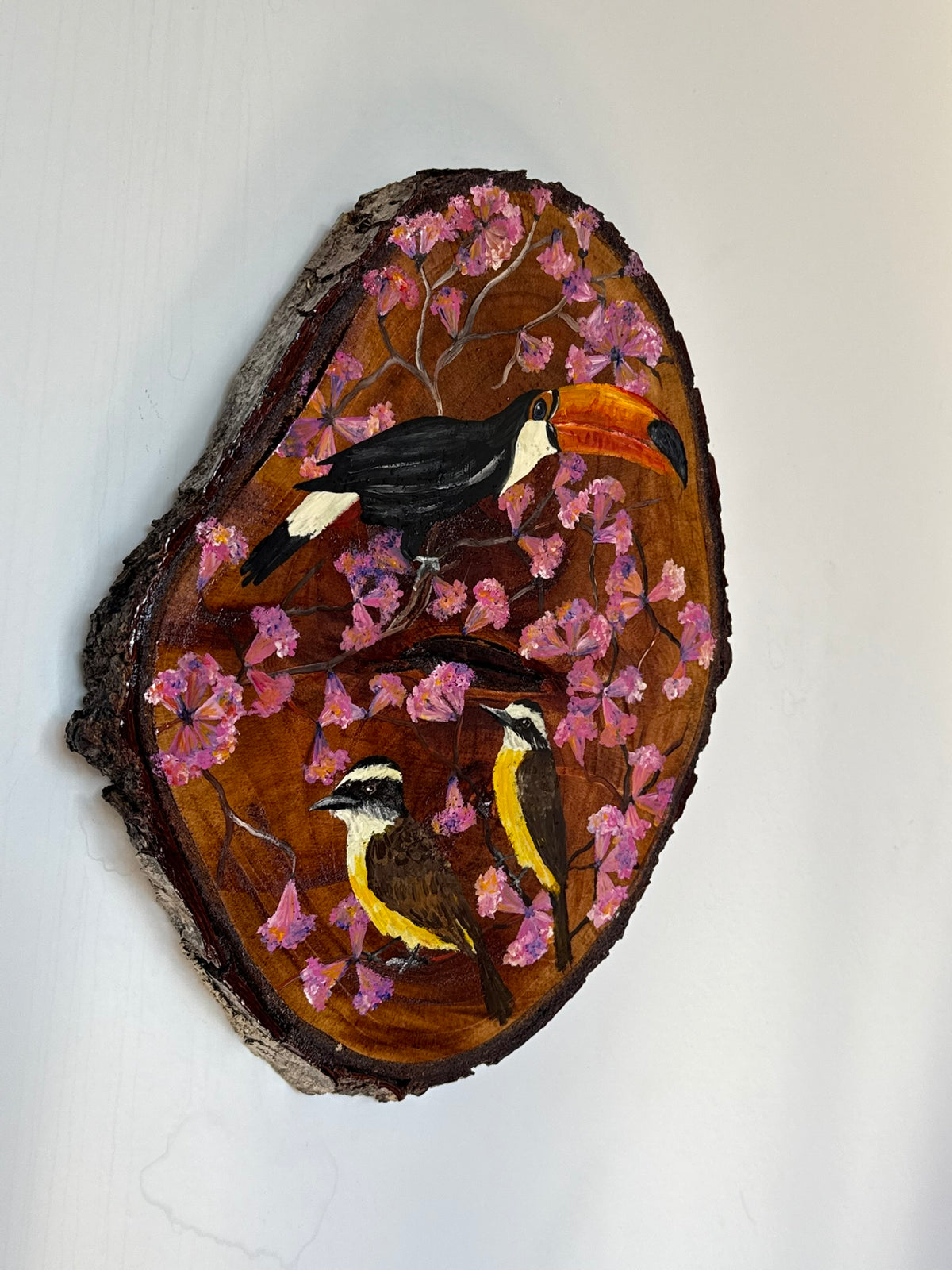 Cenas do cotidiano (Tucano e Bem-te-vi)- Pintura em madeira