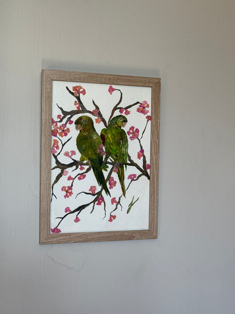 Quadro Periquetão em Ipê Rosa