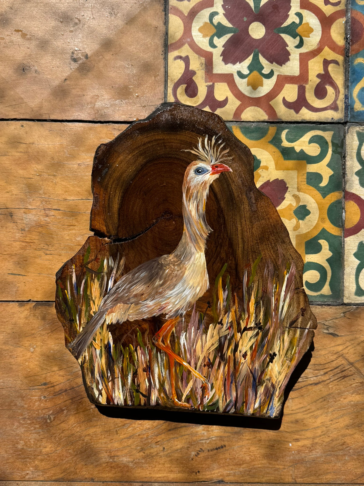Seriema em campo mineiro - Pintura em Madeira