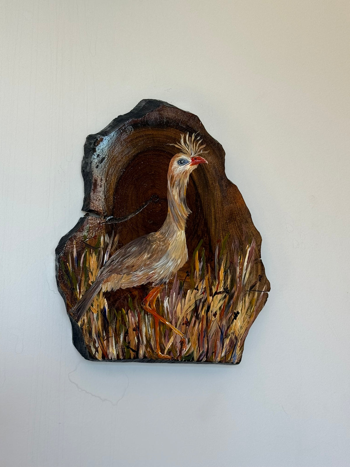 Seriema em campo mineiro - Pintura em Madeira