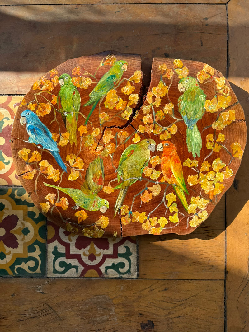 Risada brasileira (Periquetão) - Pintura em Madeira