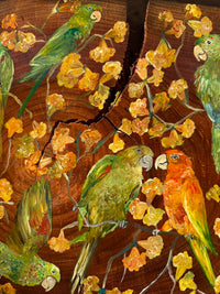 Risada brasileira (Periquetão) - Pintura em Madeira