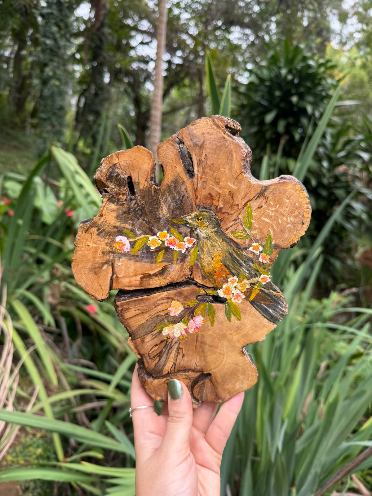 Pintura na Madeira- Sabiá Laranjeira