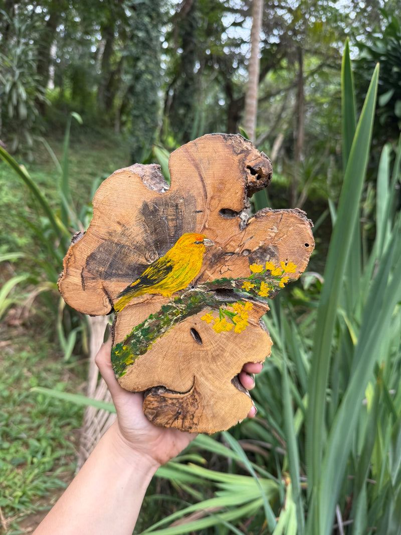 Pintura na madeira- Canário