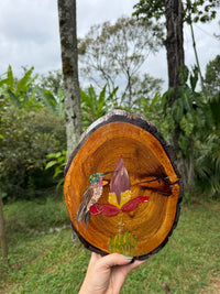 pintura de beija-flor com bananeira em madeira, feita à mão