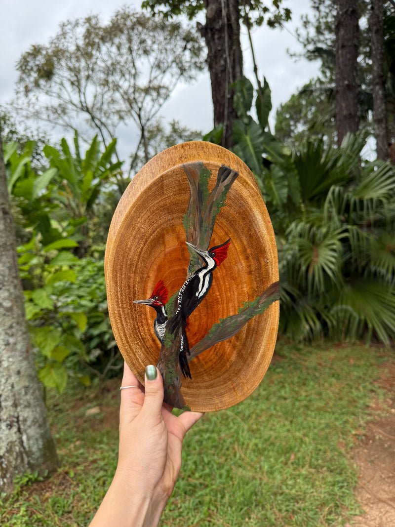 Pintura na Madeira- Pica Pau de Topete Vermelho