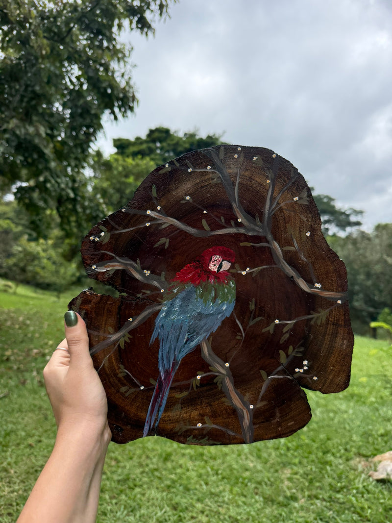 Pintura na Madeira- Arara