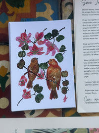 Jardim de Papel- Clube de Cartas