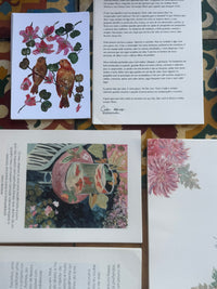 Jardim de Papel- Clube de Cartas