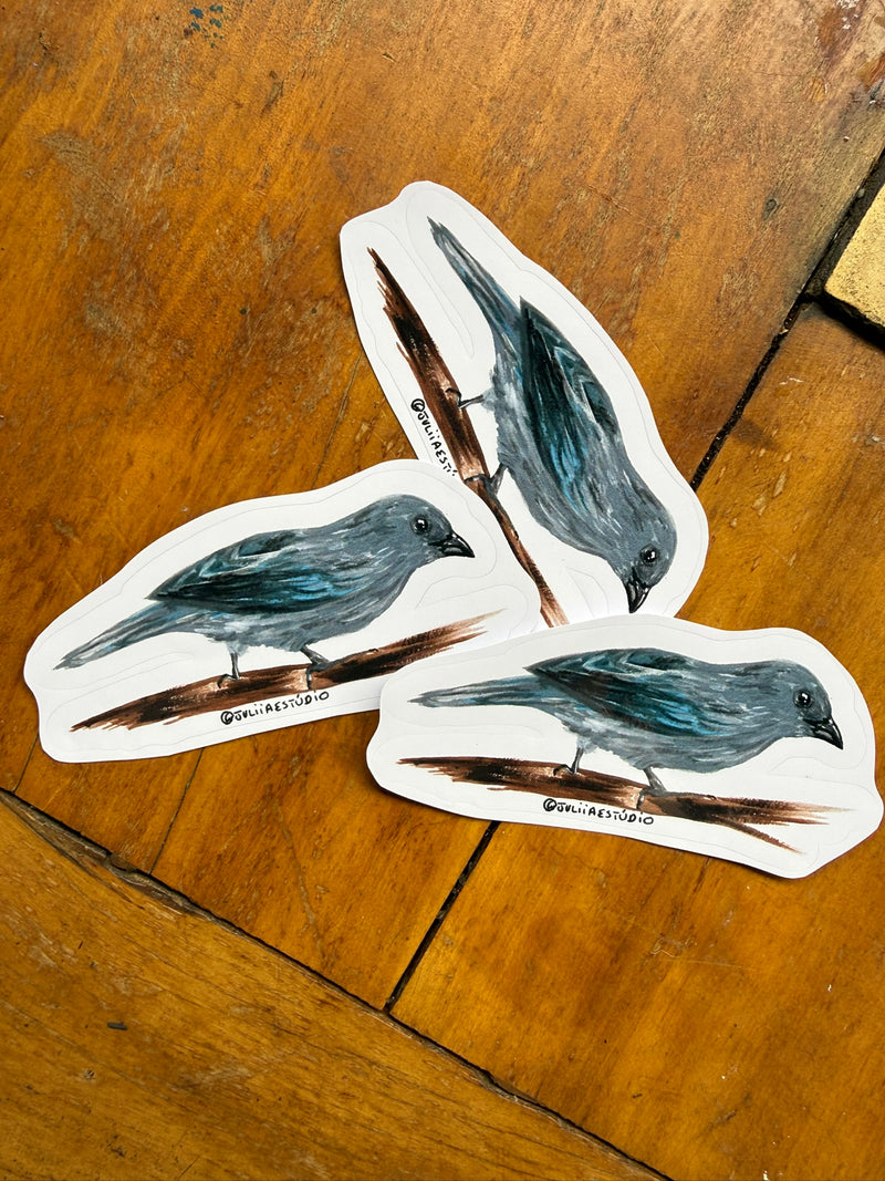 Adesivo de sanhaço cinzento