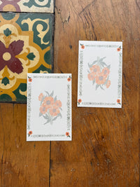 Jardim de Papel- Clube de Cartas Edição de maio