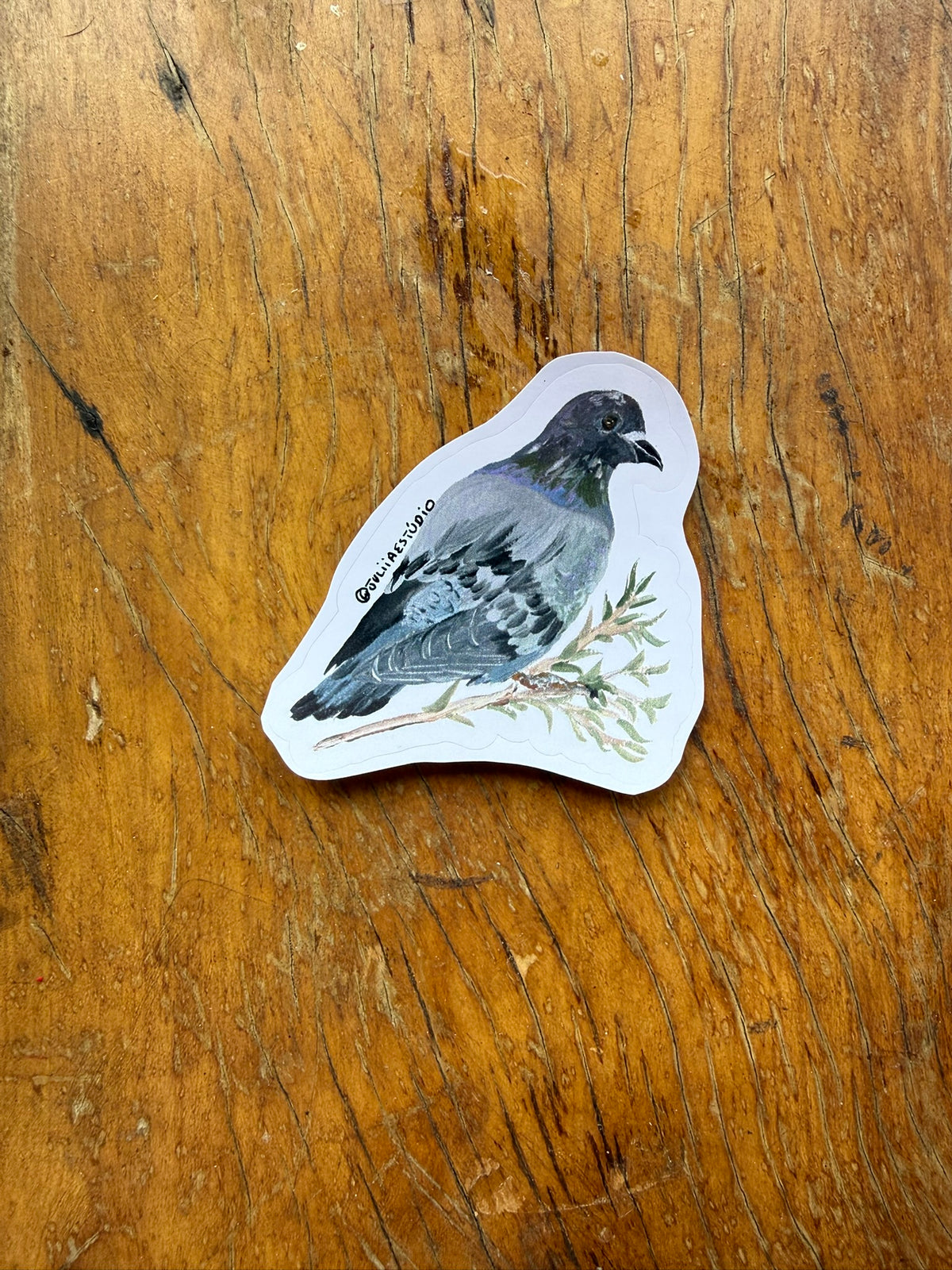 Jardim de Papel- Clube de Cartas Edição de maio