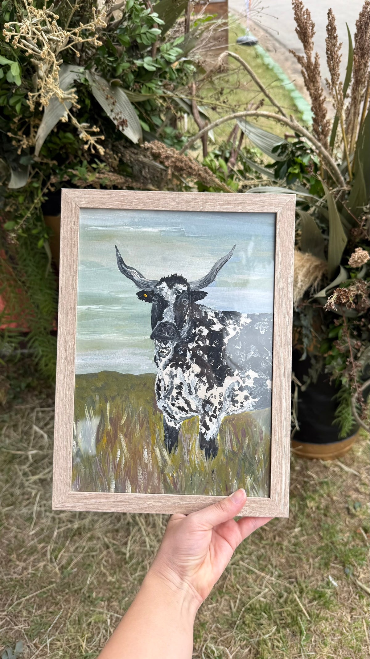 Pintura Nelore Pintado A4